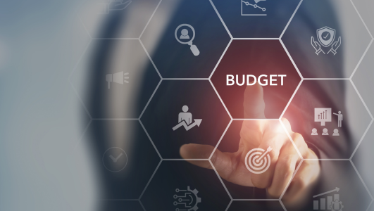 Cybersecurity Budget Constraints